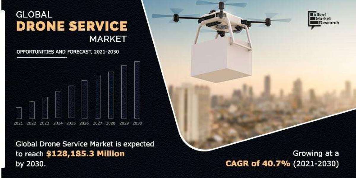 "Elevating Possibilities: Charting the Drone Service Market's Trajectory"